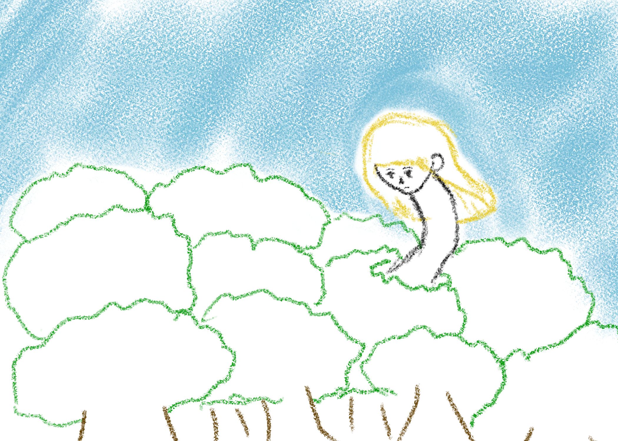 noka lawa pi suli Alisu li suli mute. ona li tawa lon sewi pi ma kasi